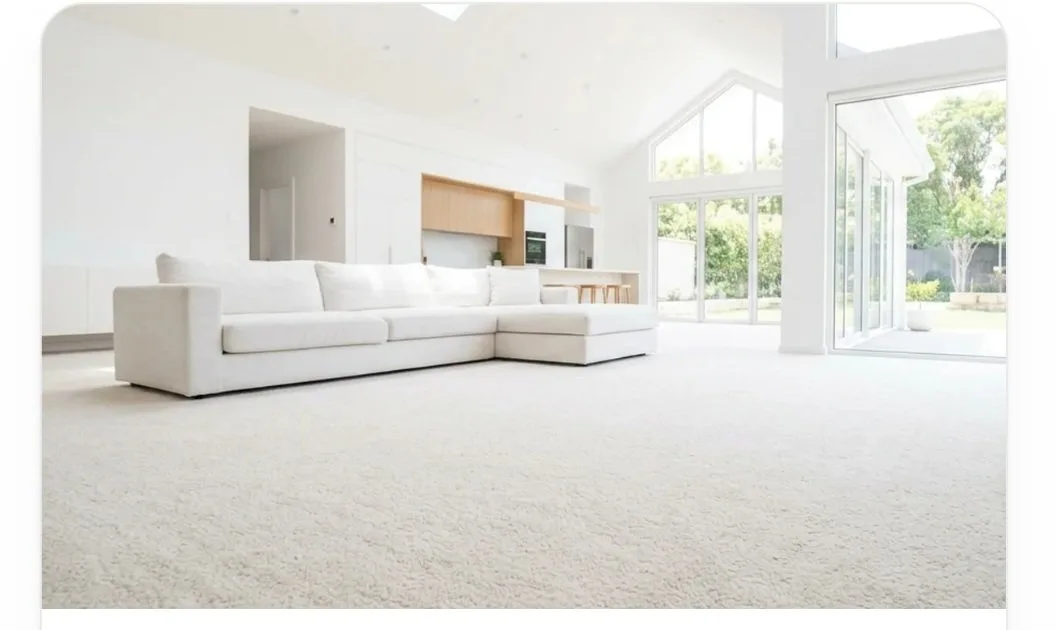 A freshly cleaned pale carpet across a bright open plan lounge room, darkened behind the page heading